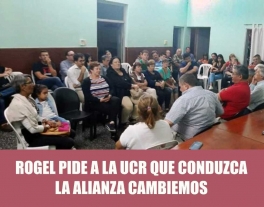 Fabián Rogel pide al radicalismo que se ponga a conducir la alianza Cambiemos Fabián Rogel pide al radicalismo que se ponga a conducir la alianza Cambiemos