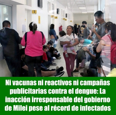 Ni vacunas ni reactivos ni campañas publicitarias contra el dengue: La inacción irresponsable del Gobierno de Milei pese al récord de infectados