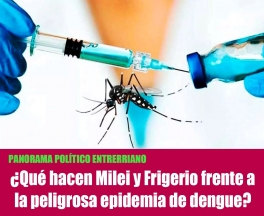 ¿Qué hacen Milei y Frigerio frente a la peligrosa epidemia de dengue?