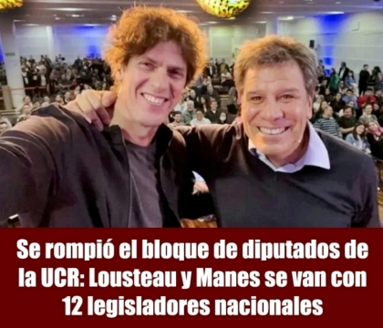 Se rompió el bloque de diputados de la UCR: Lousteau y Manes se van con 12 legisladores nacionales