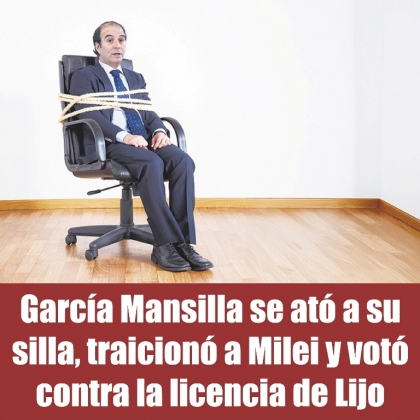 García Mansilla se ató a su silla, traicionó a Milei y votó contra la licencia de Lijo