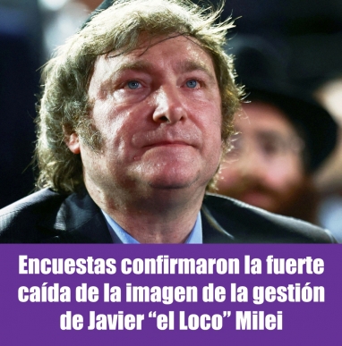 Encuestas confirmaron la fuerte caída de la imagen de la gestión de Javier “el Loco” Milei