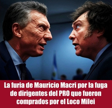 La furia de Mauricio Macri por la fuga de dirigentes del PRO que fueron comprados por el Loco Milei