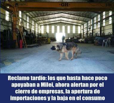 Reclamo tardío: los que hasta hace poco apoyaban a Milei, ahora alertan por el cierre de empresas, la apertura de importaciones y la baja en el consumo